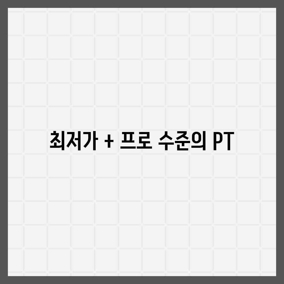 최저가 + 프로 수준의 PT