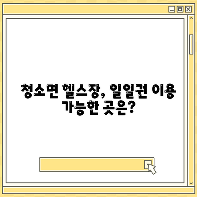 충청남도 보령시 청소면 헬스장 추천 | 가격 | 비용 | pt | 근처 | 24시 | 일일권 | 무인 | 2024 후기 top5