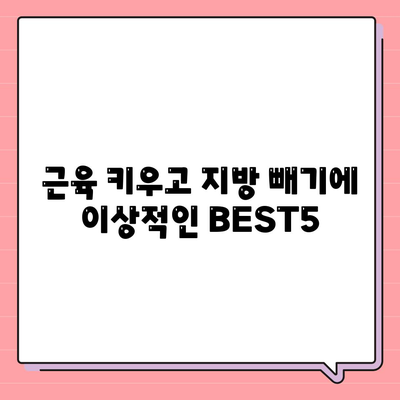 근육 키우고 지방 빼기에 이상적인 BEST5