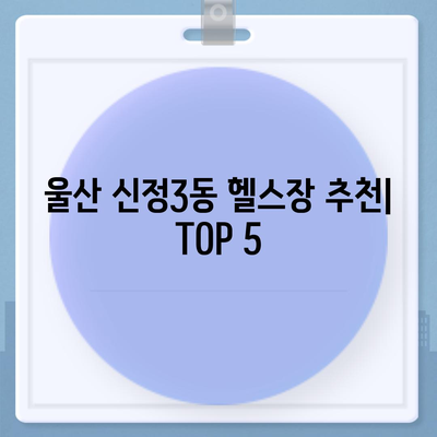 울산시 남구 신정3동 헬스장 추천 | 가격 | 비용 | pt | 근처 | 24시 | 일일권 | 무인 | 2024 후기 top5