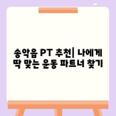 충청남도 당진시 송악읍 헬스장 추천 | 가격 | 비용 | pt | 근처 | 24시 | 일일권 | 무인 | 2024 후기 top5