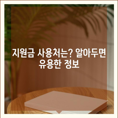 광주시 서구 양동 민생회복지원금 | 신청 | 신청방법 | 대상 | 지급일 | 사용처 | 전국민 | 이재명 | 2024