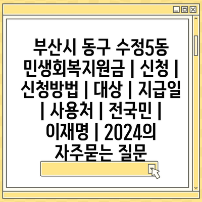 부산시 동구 수정5동 민생회복지원금 | 신청 | 신청방법 | 대상 | 지급일 | 사용처 | 전국민 | 이재명 | 2024