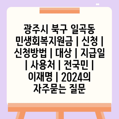 광주시 북구 일곡동 민생회복지원금 | 신청 | 신청방법 | 대상 | 지급일 | 사용처 | 전국민 | 이재명 | 2024