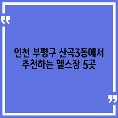 인천시 부평구 산곡3동 헬스장 추천 | 가격 | 비용 | pt | 근처 | 24시 | 일일권 | 무인 | 2024 후기 top5