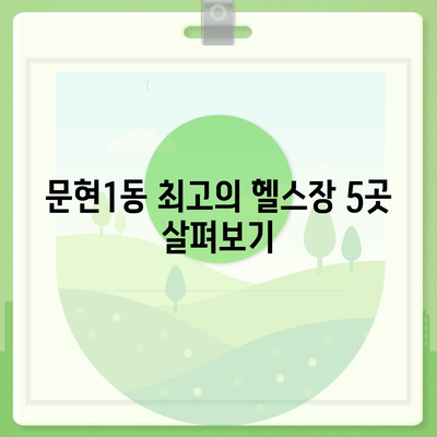 부산시 남구 문현1동 헬스장 추천 | 가격 | 비용 | pt | 근처 | 24시 | 일일권 | 무인 | 2024 후기 top5