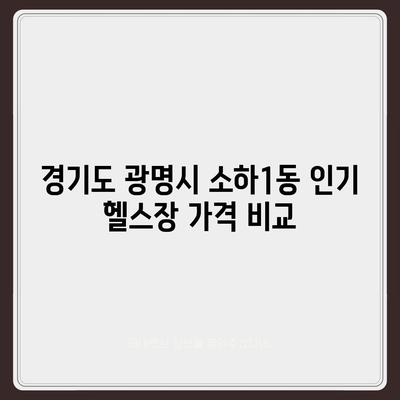 경기도 광명시 소하1동 헬스장 추천 | 가격 | 비용 | pt | 근처 | 24시 | 일일권 | 무인 | 2024 후기 top5