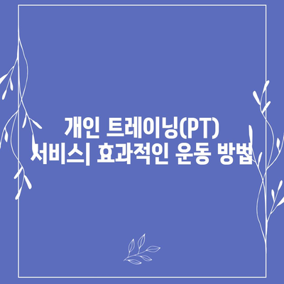 강원도 평창군 진부면 헬스장 추천 | 가격 | 비용 | pt | 근처 | 24시 | 일일권 | 무인 | 2024 후기 top5