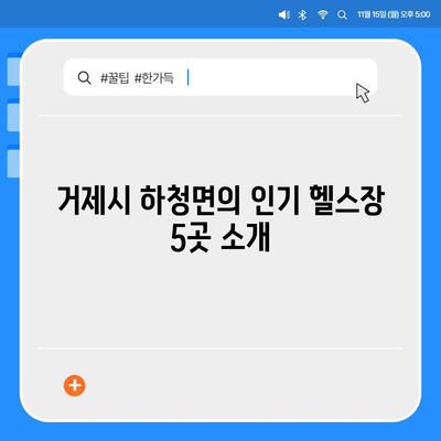 경상남도 거제시 하청면 헬스장 추천 | 가격 | 비용 | pt | 근처 | 24시 | 일일권 | 무인 | 2024 후기 top5