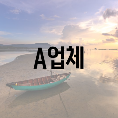 A업체