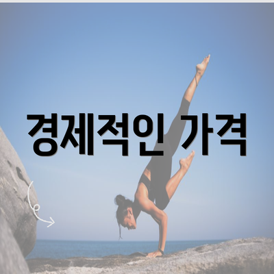 경제적인 가격