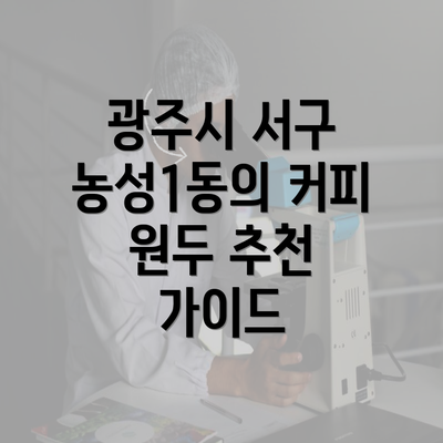 광주시 서구 농성1동의 커피 원두 추천 가이드