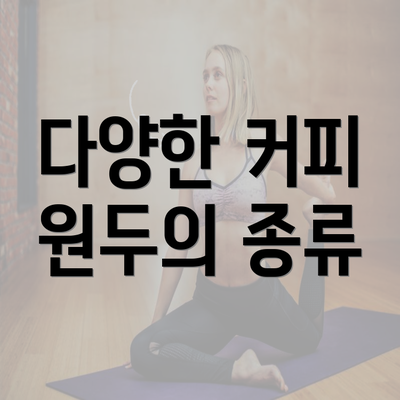 다양한 커피 원두의 종류