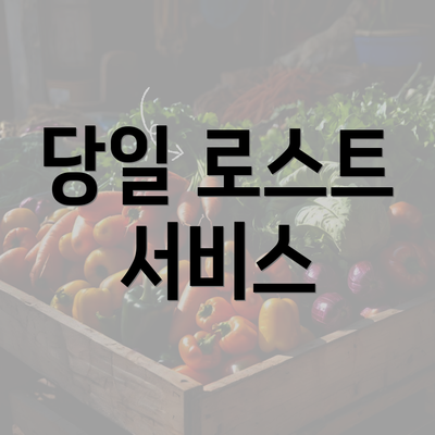 당일 로스트 서비스