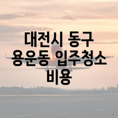 대전시 동구 용운동 입주청소 비용