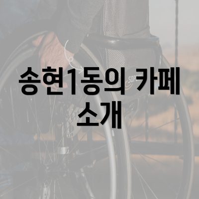 송현1동의 카페 소개