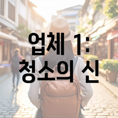 업체 1: 청소의 신