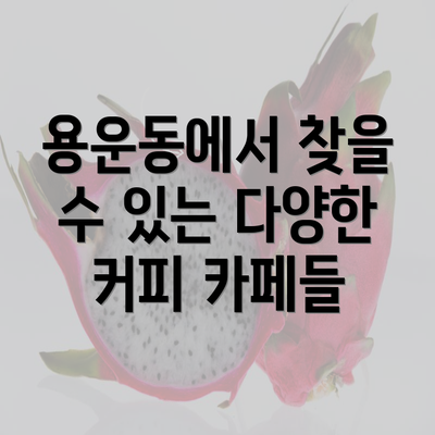 용운동에서 찾을 수 있는 다양한 커피 카페들