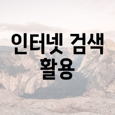 인터넷 검색 활용