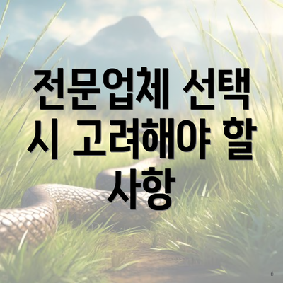 전문업체 선택 시 고려해야 할 사항