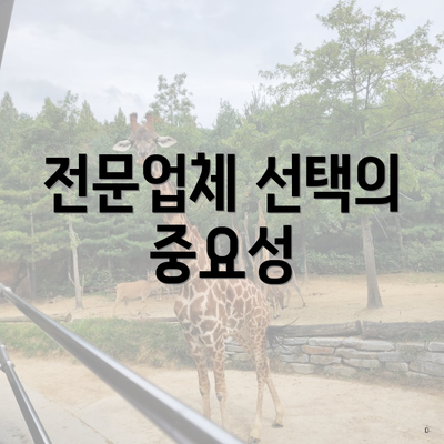 전문업체 선택의 중요성