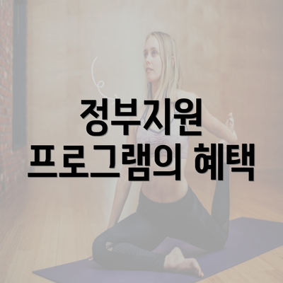 정부지원 프로그램의 혜택