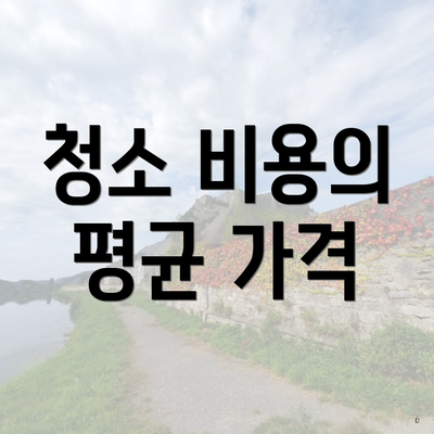 청소 비용의 평균 가격