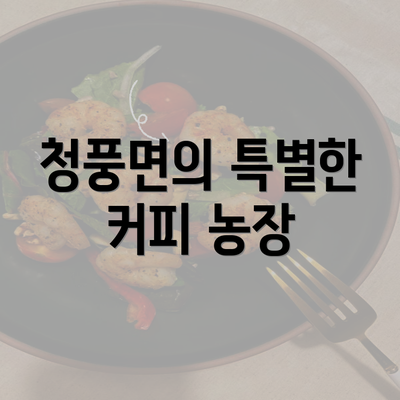 청풍면의 특별한 커피 농장