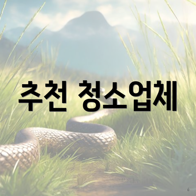 추천 청소업체