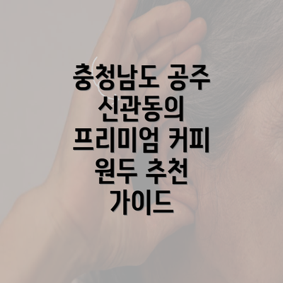 충청남도 공주 신관동의 프리미엄 커피 원두 추천 가이드