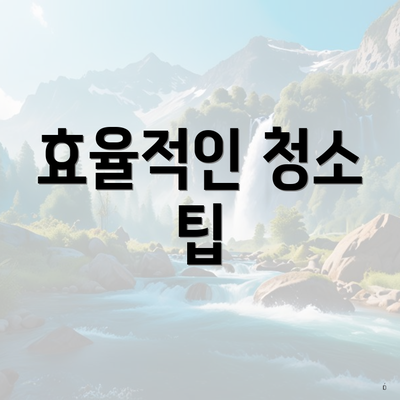 효율적인 청소 팁