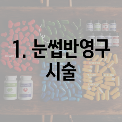 1. 눈썹반영구 시술