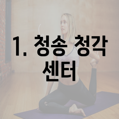 1. 청송 청각 센터