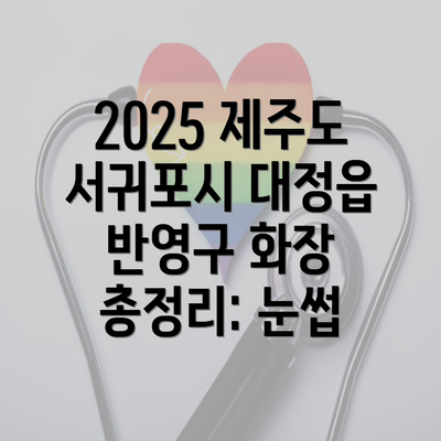 2025 제주도 서귀포시 대정읍 반영구 화장 총정리: 눈썹