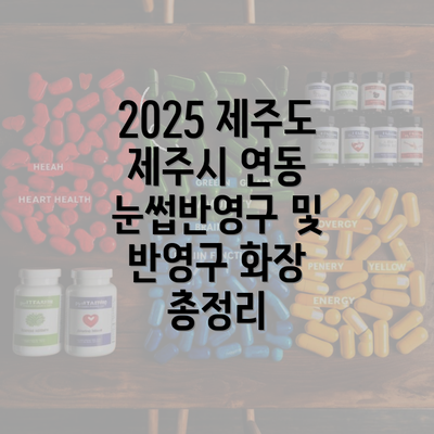 2025 제주도 제주시 연동 눈썹반영구 및 반영구 화장 총정리