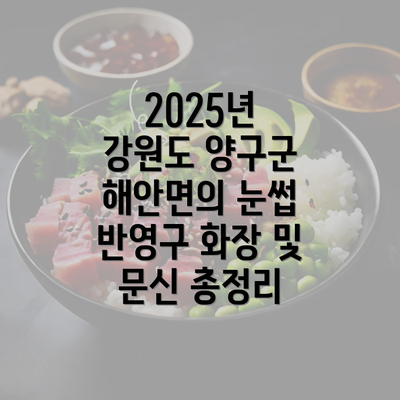 2025년 강원도 양구군 해안면의 눈썹 반영구 화장 및 문신 총정리