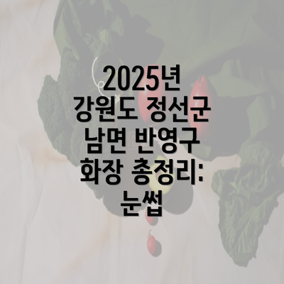 2025년 강원도 정선군 남면 반영구 화장 총정리: 눈썹