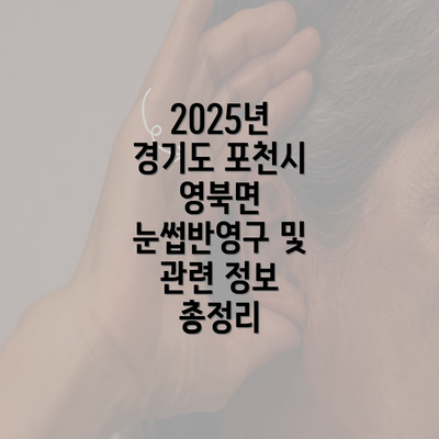 2025년 경기도 포천시 영북면 눈썹반영구 및 관련 정보 총정리