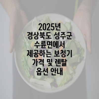 2025년 경상북도 성주군 수륜면에서 제공하는 보청기 가격 및 렌탈 옵션 안내