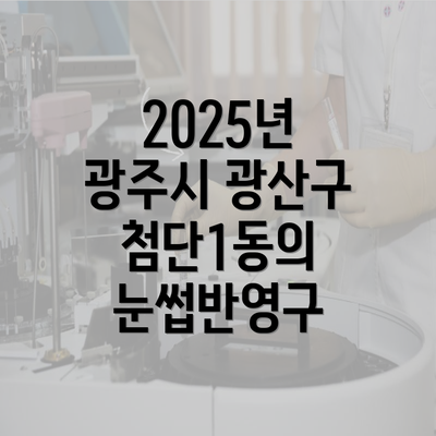 2025년 광주시 광산구 첨단1동의 눈썹반영구