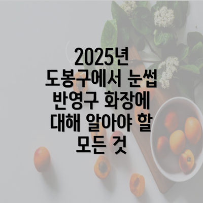 2025년 도봉구에서 눈썹 반영구 화장에 대해 알아야 할 모든 것