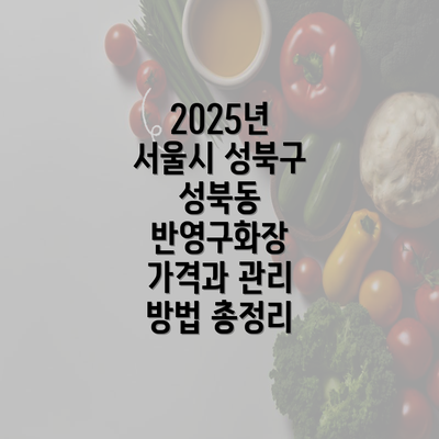 2025년 서울시 성북구 성북동 반영구화장 가격과 관리 방법 총정리