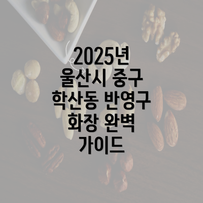 2025년 울산시 중구 학산동 반영구 화장 완벽 가이드