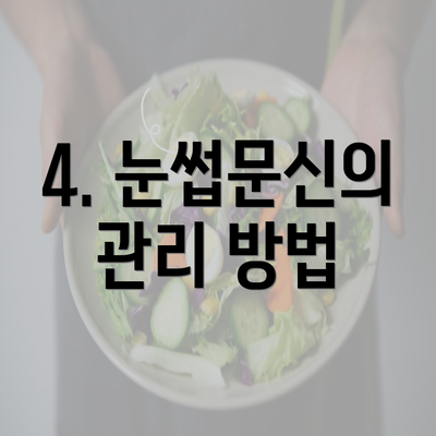 4. 눈썹문신의 관리 방법