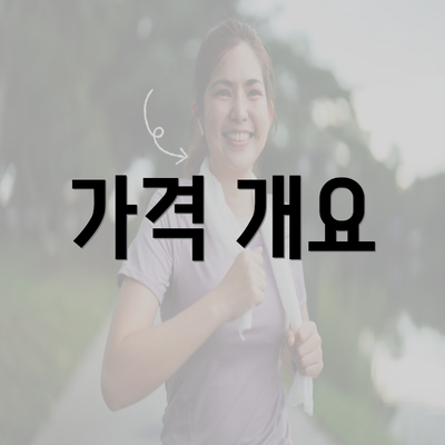 가격 개요