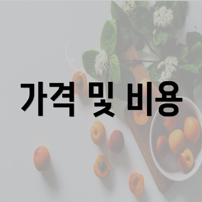 가격 및 비용