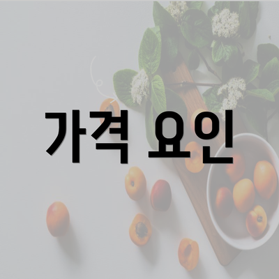 가격 요인