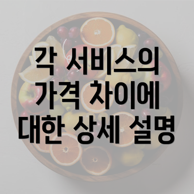 각 서비스의 가격 차이에 대한 상세 설명