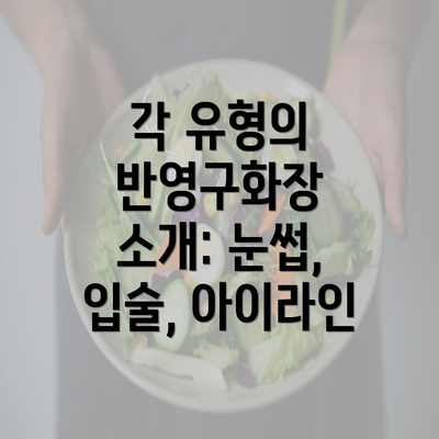 각 유형의 반영구화장 소개: 눈썹, 입술, 아이라인