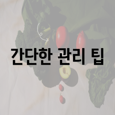 간단한 관리 팁